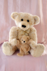Teddy bears isolated against pink background