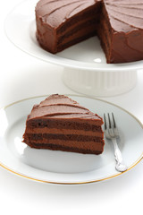 devil's food cake on a white background