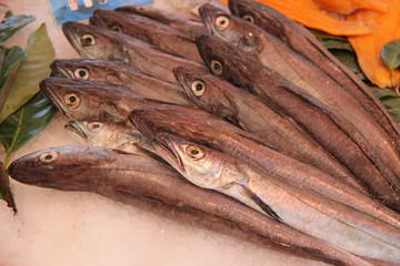 Merlus chez le poissonnier