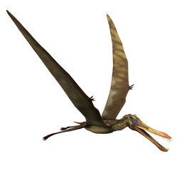 Anhanguera Dinosaur in Flight © AlienCat