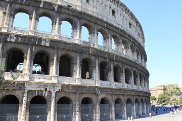 Fototapeta premium Colosseum - Roma - Italy