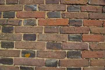 mur8