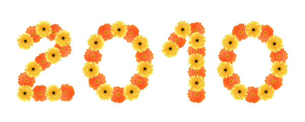 Year 2010 created by daisy flowers.