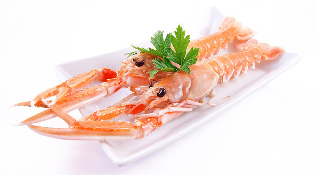 Scampi