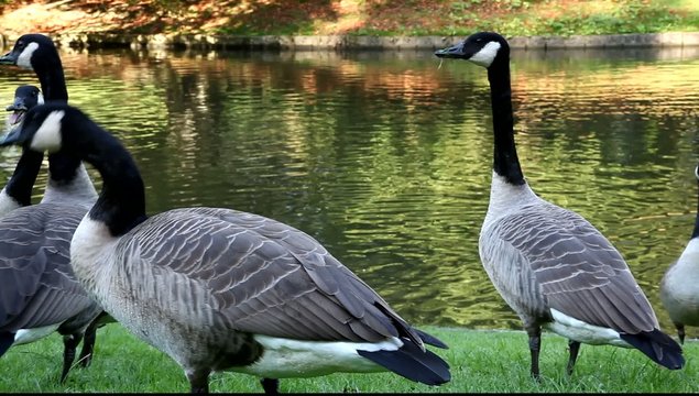 nature couleurs