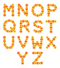 Set of alphabets created by daisy flowers.