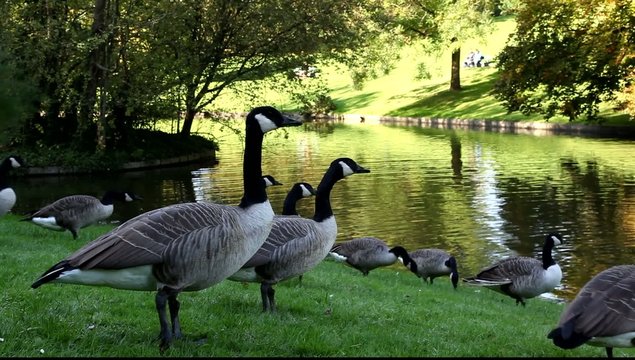 nature couleurs