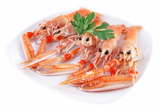Scampi