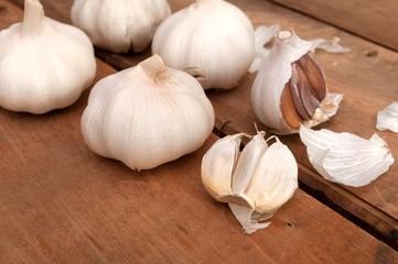 Garlic