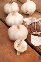 Garlic