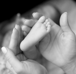 Baby`s feet in mommy`s hands