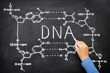 DNA blackboard drawing