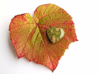 Unakit- Herz auf Herbstblatt, Weinblatt, Freisteller, freigestellt auf weißem Hintergrund