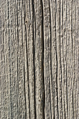 Fototapeta premium Old plank