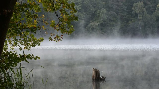 Morgennebel am Lucretiasee
