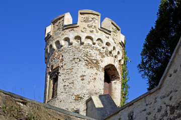 Obraz premium Burg Lahneck an der Lahnmündung (Rheinland-Pfalz)