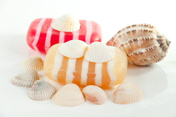SPA kit, soap, and shells