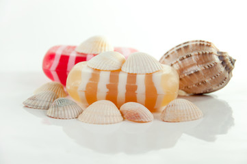 SPA kit, soap, and shells