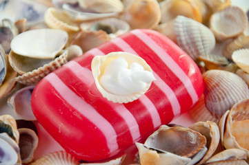SPA kit, soap, and shells