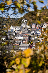 Blick durch Blätter auf Häuser in Idar-Oberstein