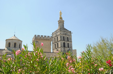 Avignon Cathedral