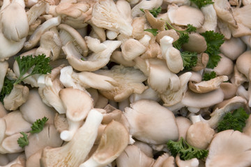 background with mushrooms and parsley