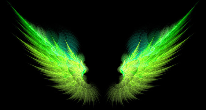 green and yellow sharp wings