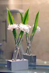 white flower for spa decoration