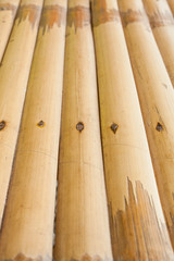 Texture bamboo fence