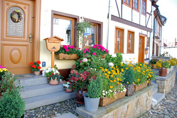 Fototapeta na wymiar Blumen vor dem Haus