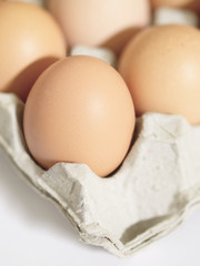 close up of fresh chicken eggs