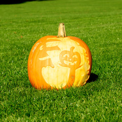 Fototapeta premium Halloween pumpkin