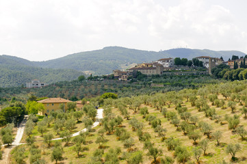 Fototapeta na wymiar Hills in Tuscany near Artimino