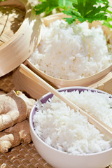 oryza sativa