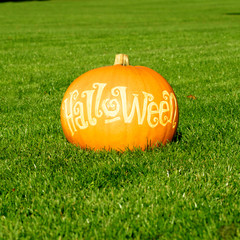 Fototapeta premium Halloween pumpkin