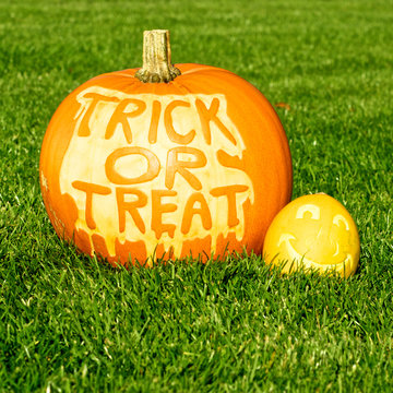 Halloween pumpkins