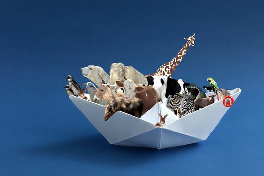 Arche Noah