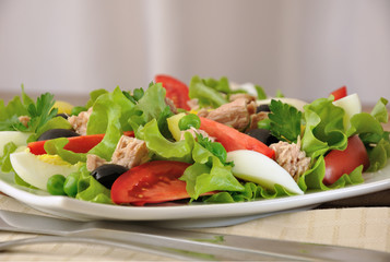 Vegetable salad with tuna and egg