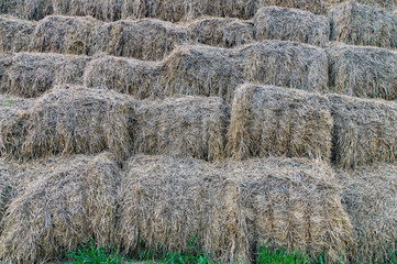 rolls of hey unusual background like a waterfall dissonans of de