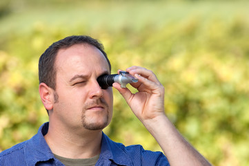 Checking The Sugar Contest Of Grape