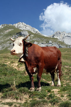 L'Abondance