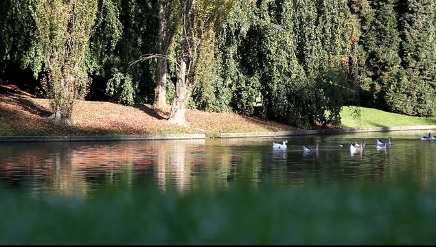 nature couleurs