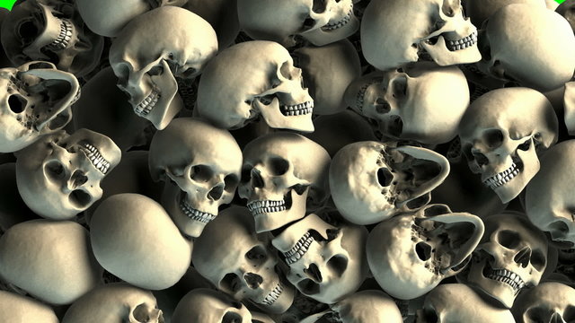 Skull transition