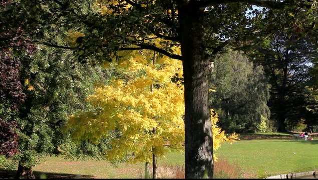 nature couleurs