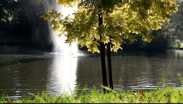 nature couleurs