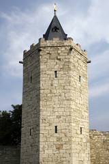 Fototapeta na wymiar Rabenturm fortyfikacji Mulhouse
