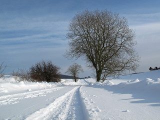 Weg mit Reifenspuren im Schnee
