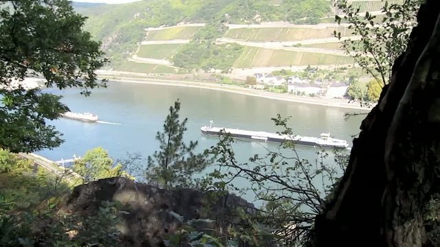 rhein
