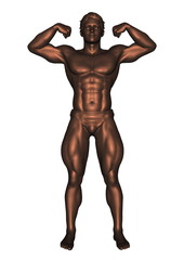 人体
