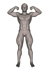 Fototapeta premium 人体